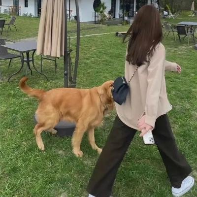 南家三姐妹